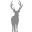 Black Gravity logo